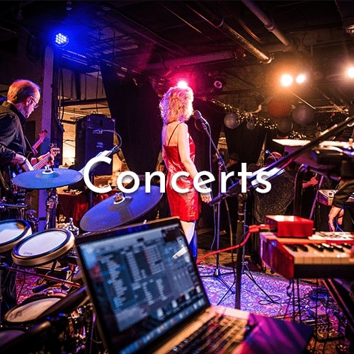 Shot from on stage, a singer in a red dress performing with a band. Text says "Concerts".